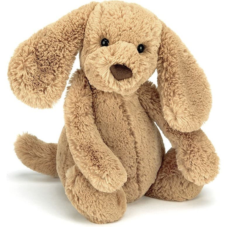 Jellycat Peluche Chien Toffee Bashful 18 cm