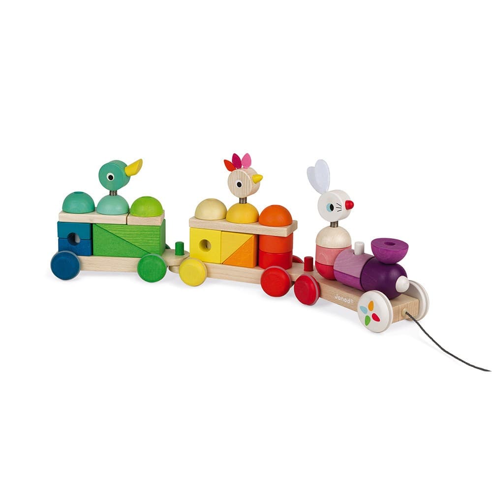 Janod Train géant multicolor Zigolos