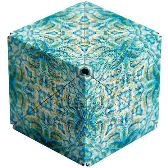 Fun In Motion Toys Shashibo Océan