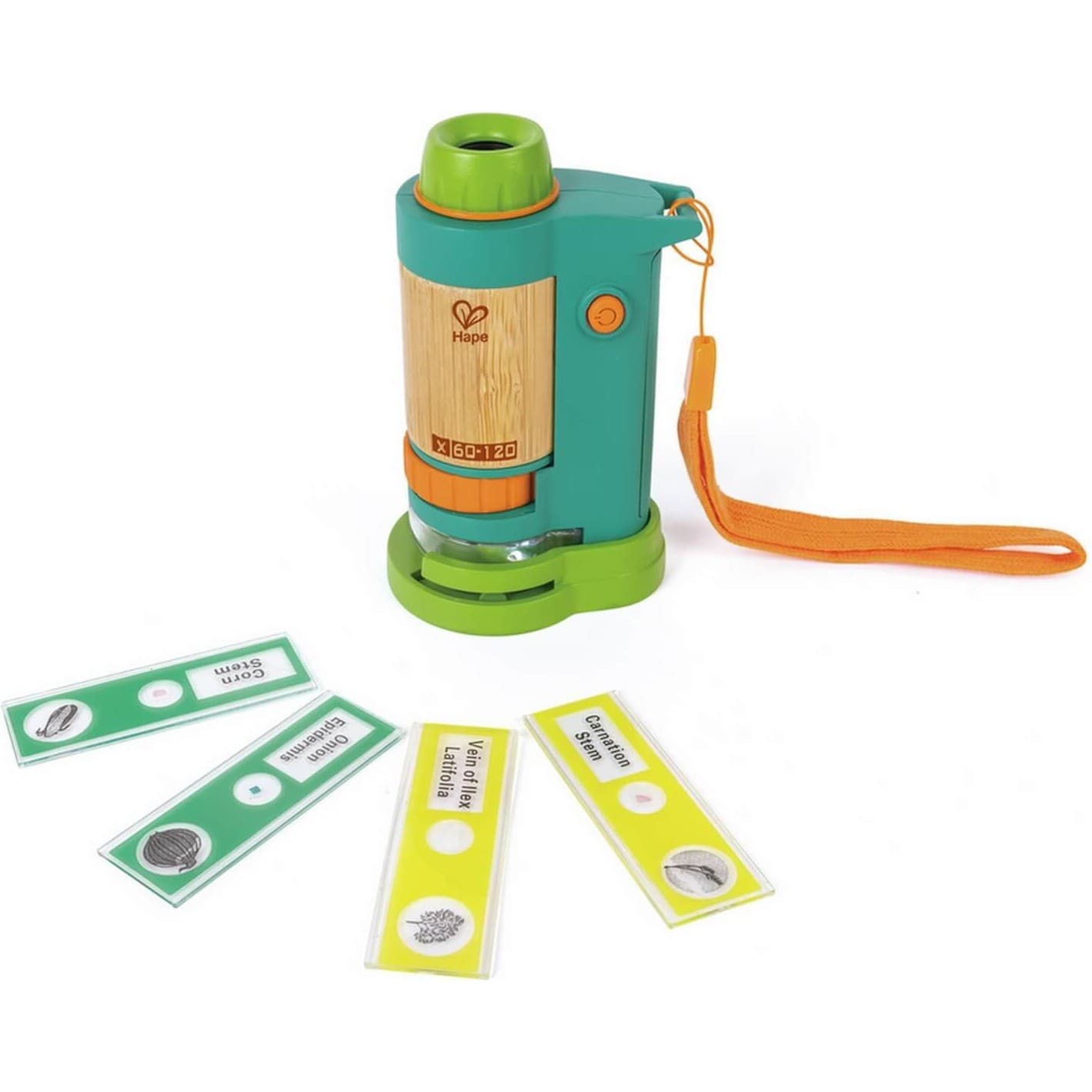 Hape Microscope en bambou 