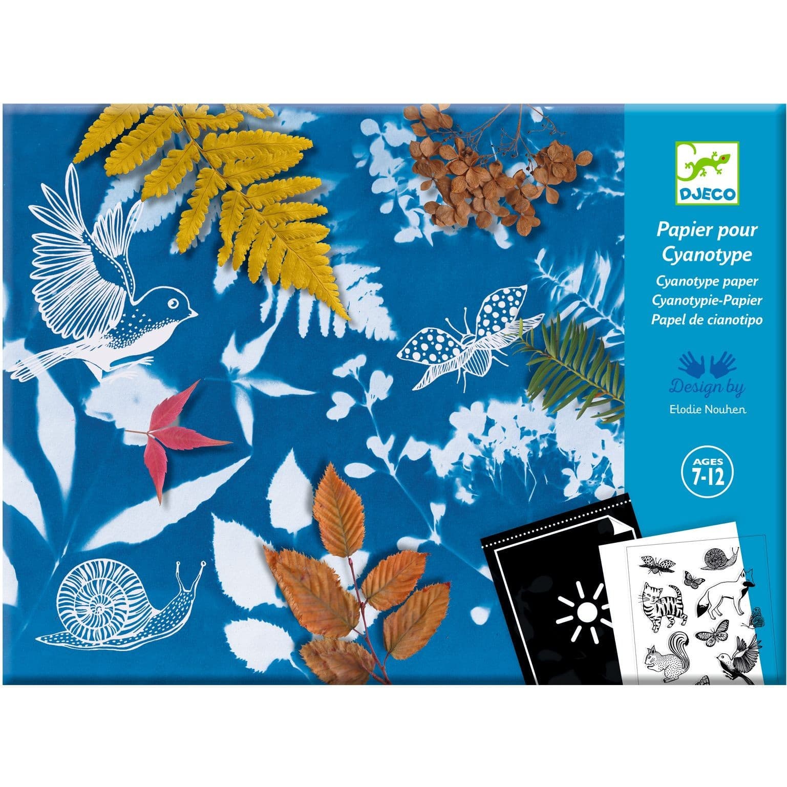 Djeco Cyanotype Starter Kit Recharges de papier photosensible