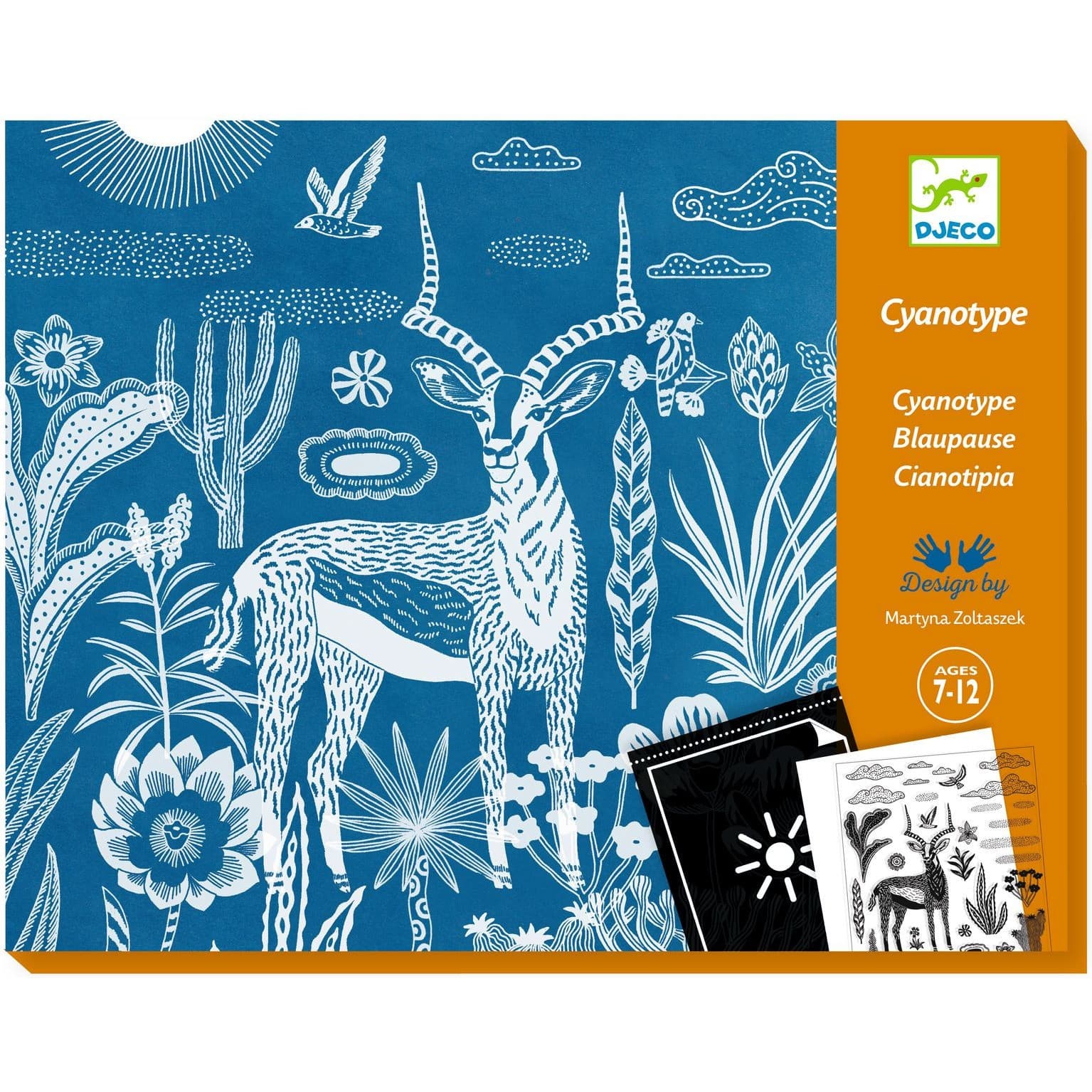 Djeco Coffret Cyanotype Savane nocturne Papier photosensible