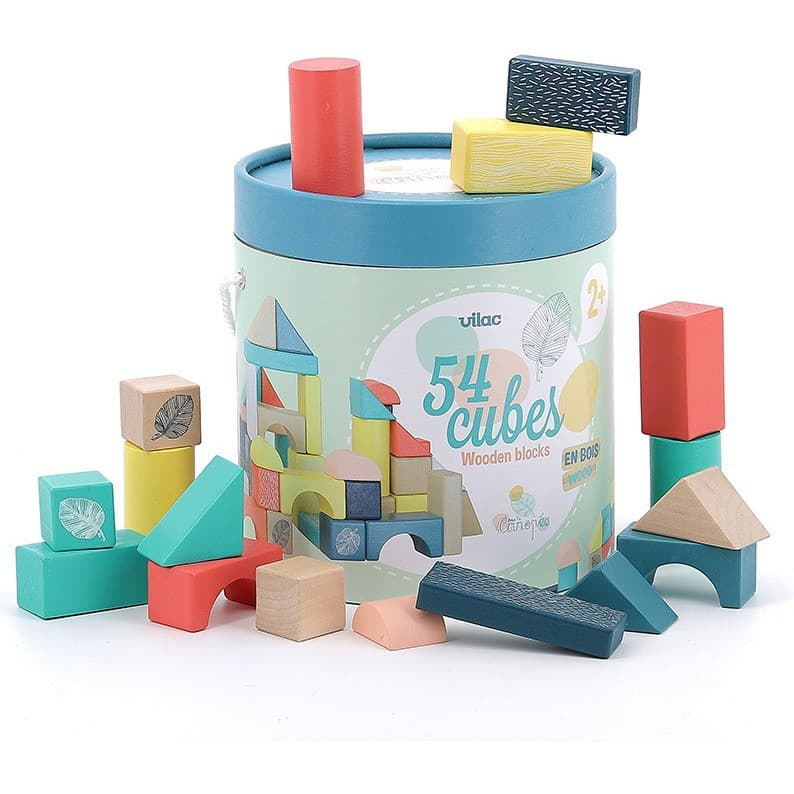 Vilac Cubes en bois, Sous la canopée