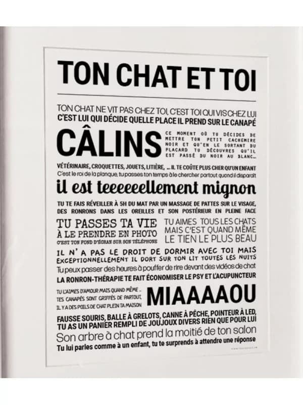 Affiche - Ton chat et toi