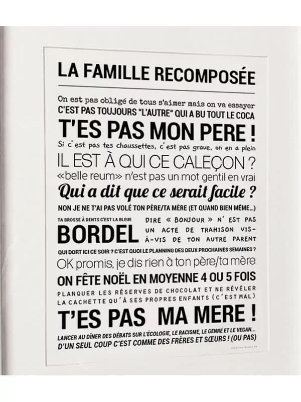 Affiche - La famille recomposée