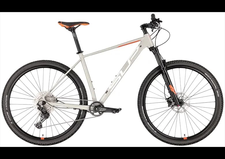 Rower MTB SUPERIOR XC 899 - szary - S