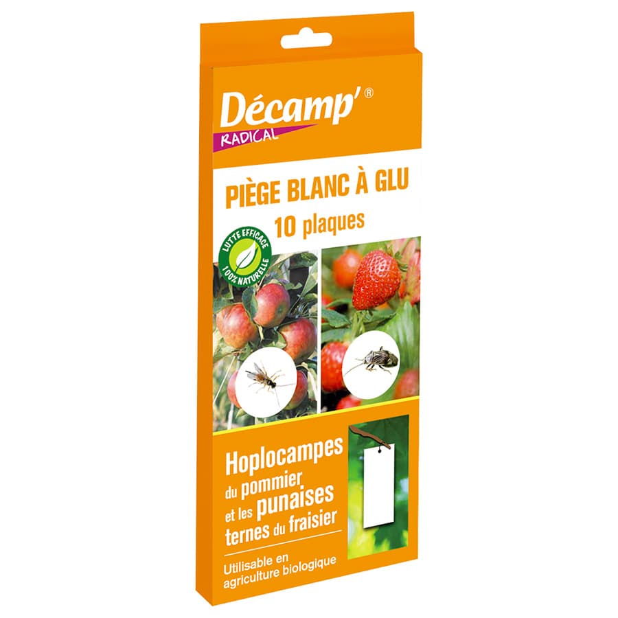 10 pièges à glu blanc - Décamp