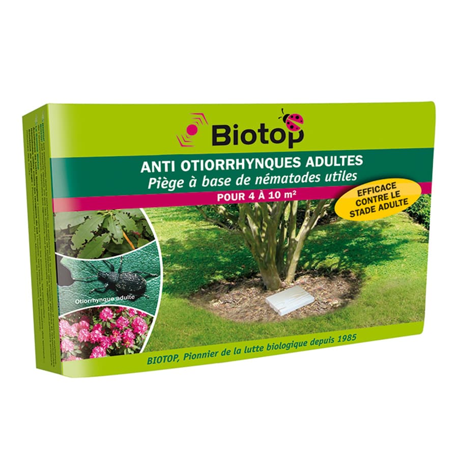 Piège pour Otiorhynque adulte - Greenapy