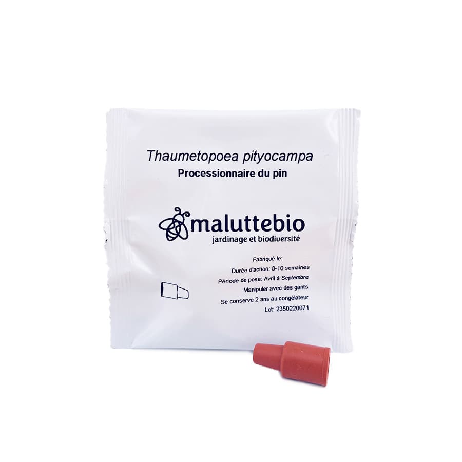 Phéromone processionnaire du Pin - Maluttebio