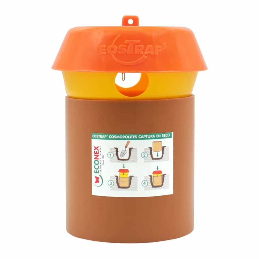 Piège spécial charançon de l'agave - Econex