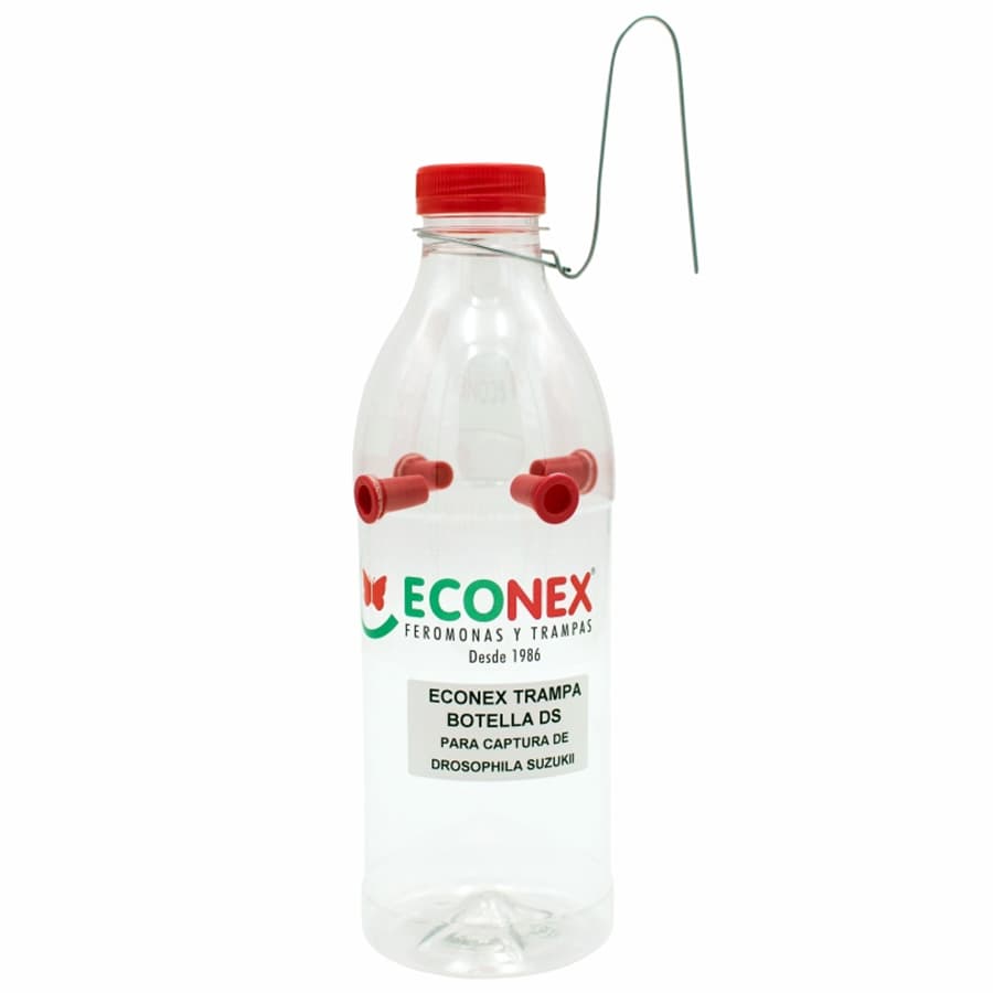 Piège bouteille drosophila suzukii - Econex