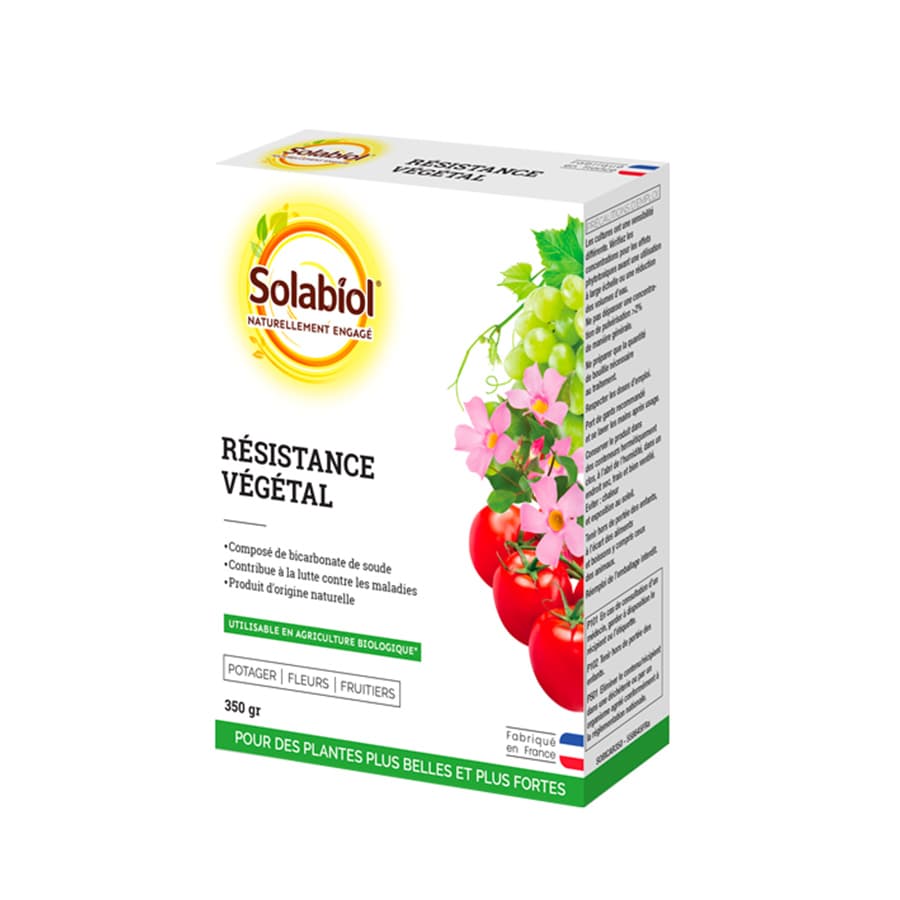 Bicarbonate de soude 350 g - Solabiol