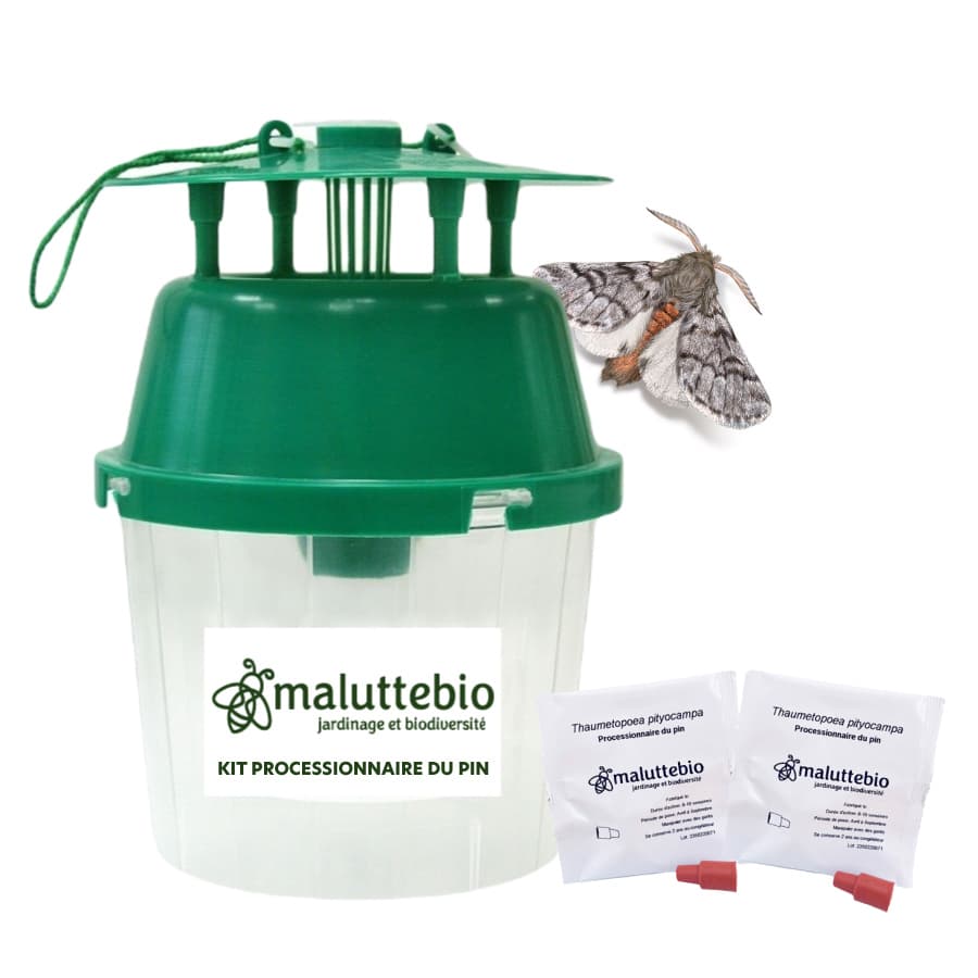Kit processionnaire du pin (piège + 2 phéromones) - Maluttebio