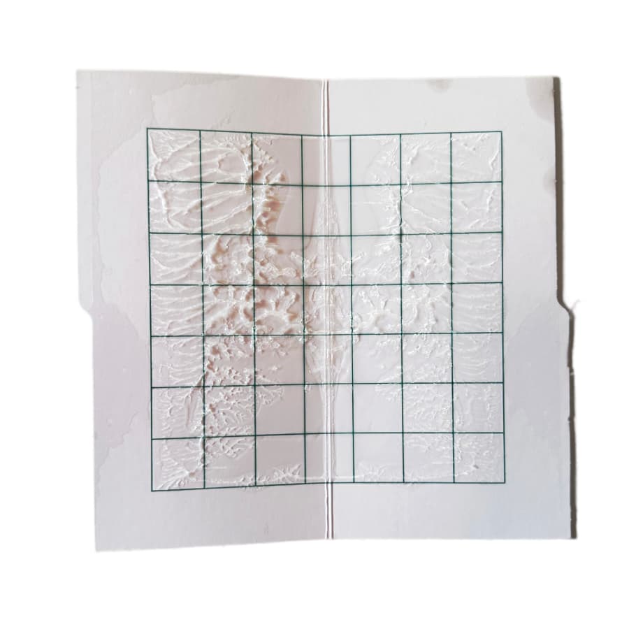 2 Recharges pour piège à phéromone Delta - Maluttebio