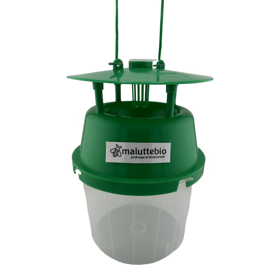 Piège à phéromone universel "Funnel Trap" - Maluttebio