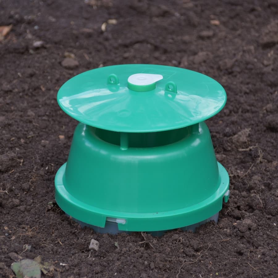 Piège à phéromone pour taupin - Maluttebio