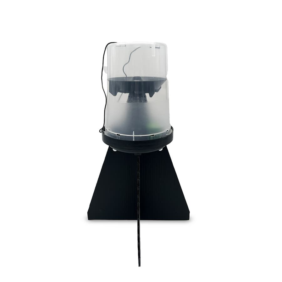 Piège à phéromone punaise diabolique Halyosan Piège seul - Koppert