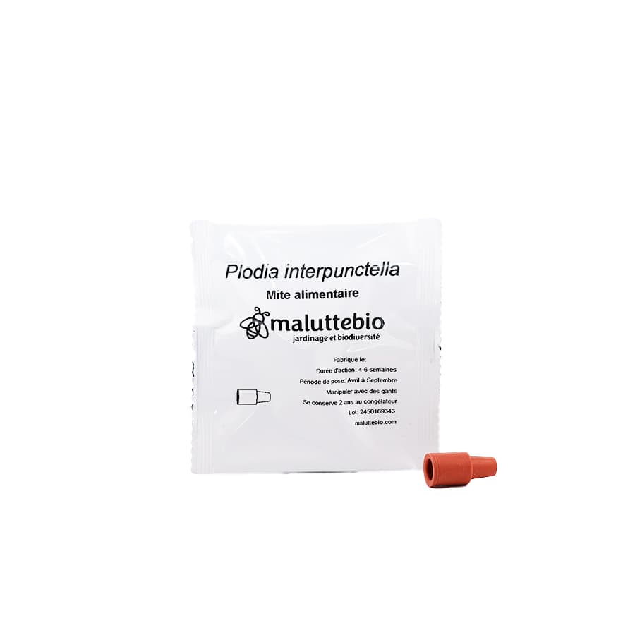 Phéromone mite alimentaire - Maluttebio