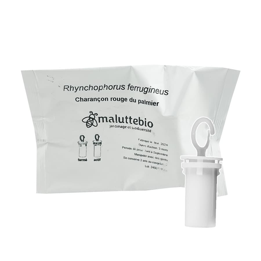 Phéromone charançon rouge du palmier - Maluttebio