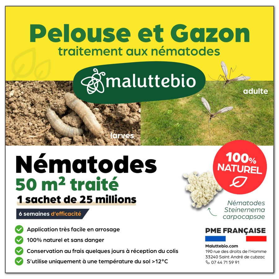 Nématodes pelouse et gazon 25 millions pour 50 m² - Maluttebio