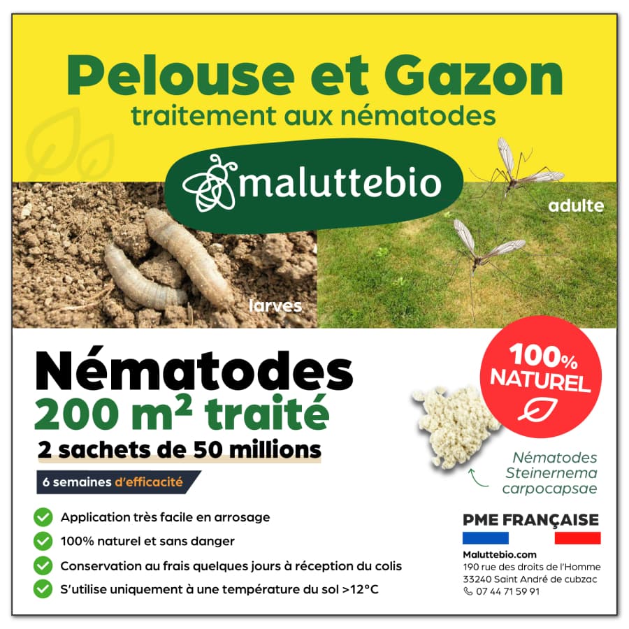 Nématodes pelouse et gazon 100 millions pour 200 m2 - Maluttebio