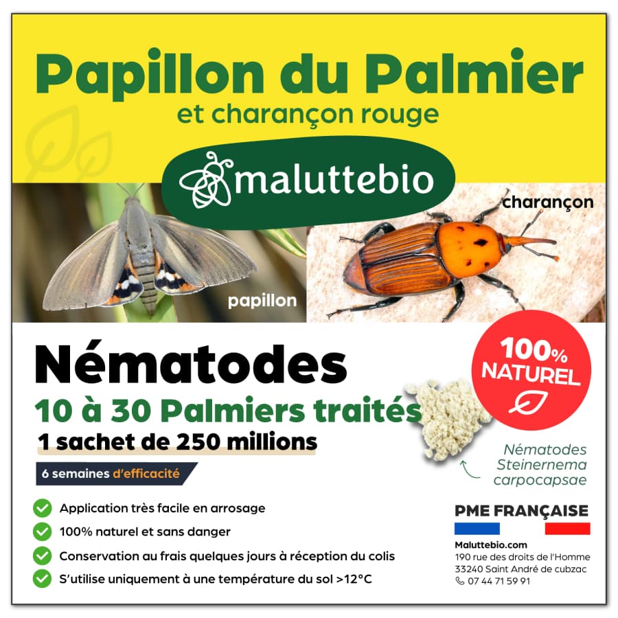 Nématodes papillon du palmier et charançon rouge Pour 10 à 30 palmiers - Maluttebio
