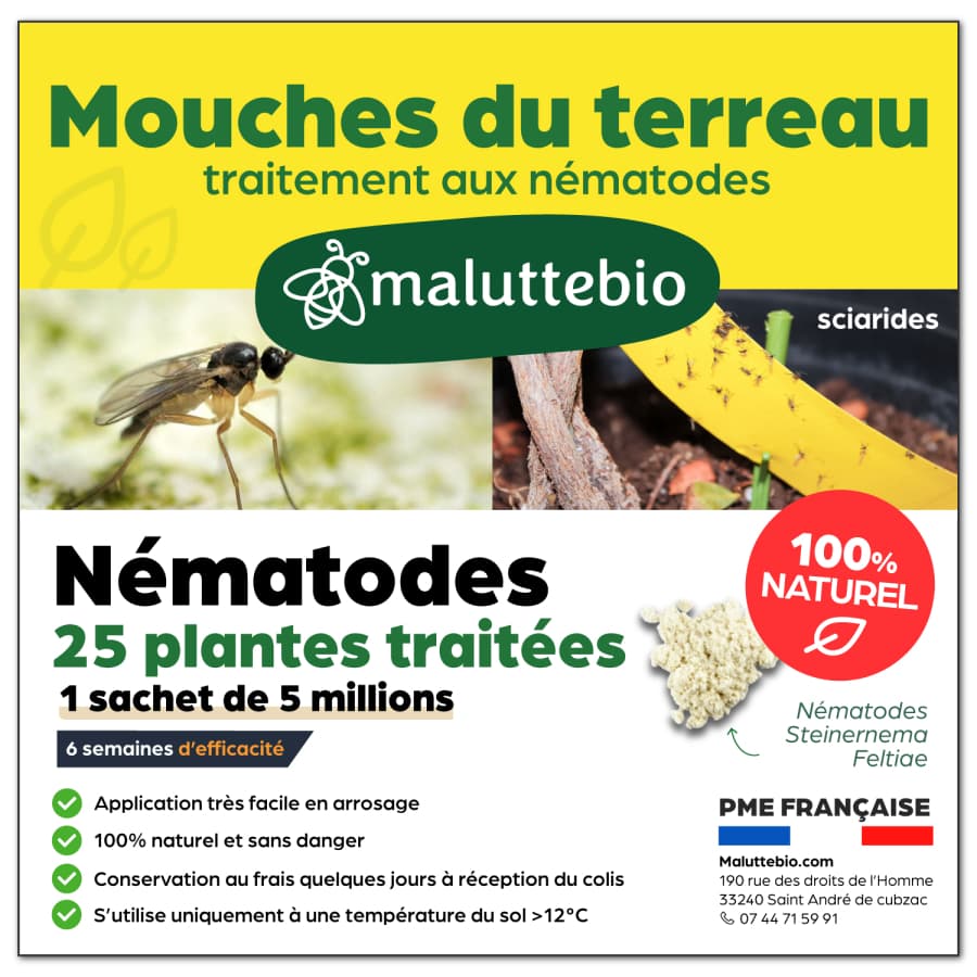 Nématodes mouches des terreaux Pour traiter 20 pots - Nemago