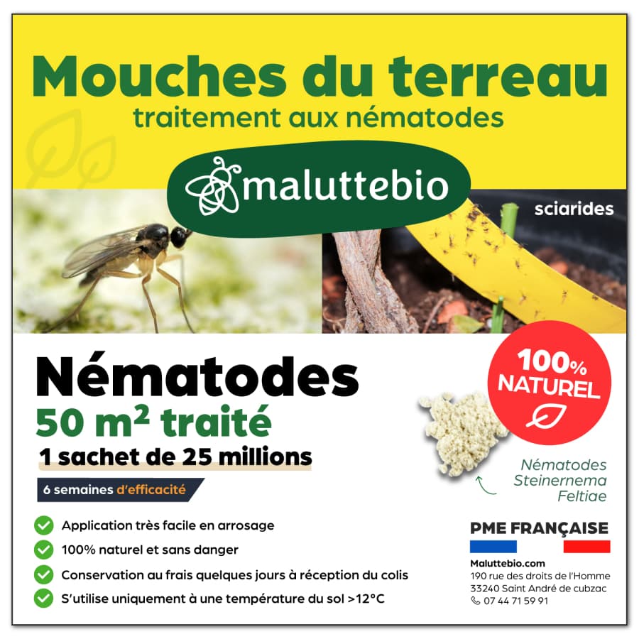Nématodes mouches des terreaux Pour traiter 50 m² - Nemago