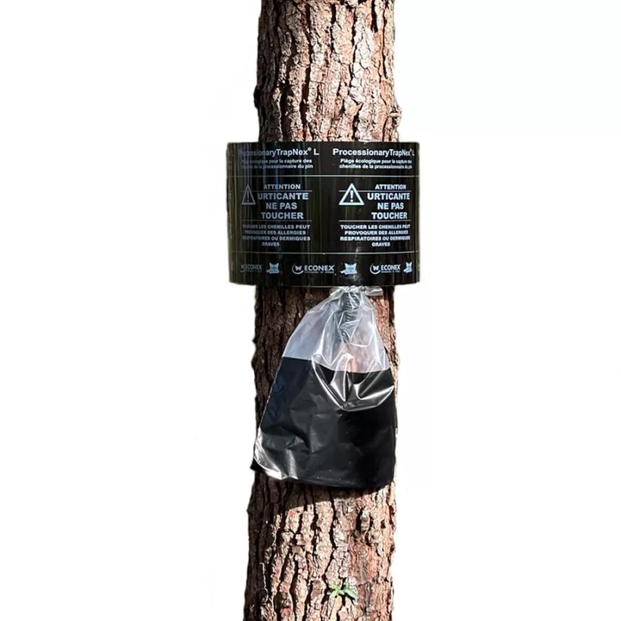 Piège chenille processionnaire du pin (jusqu'à 105 cm) Pack de 10 pièges - Maluttebio
