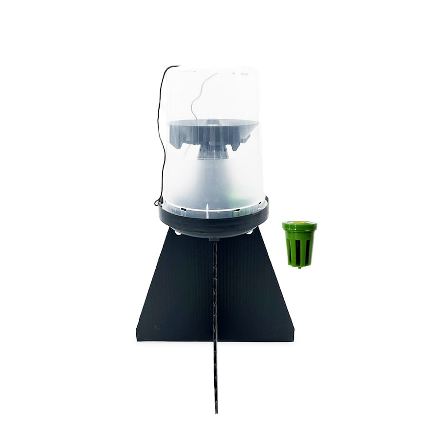 Piège à phéromone punaise diabolique Halyosan Piège + 1 phéromone - Koppert