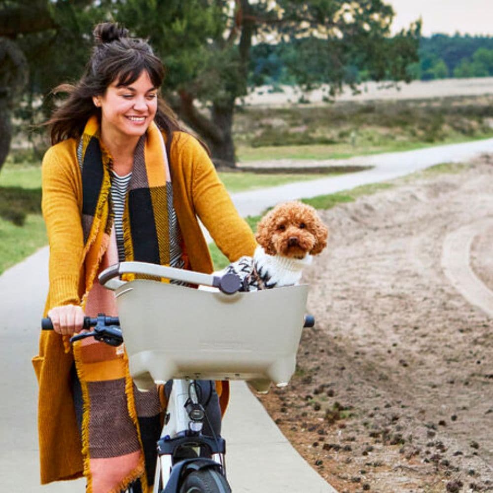 Panier vélo chat / chiot fixation Klickfix