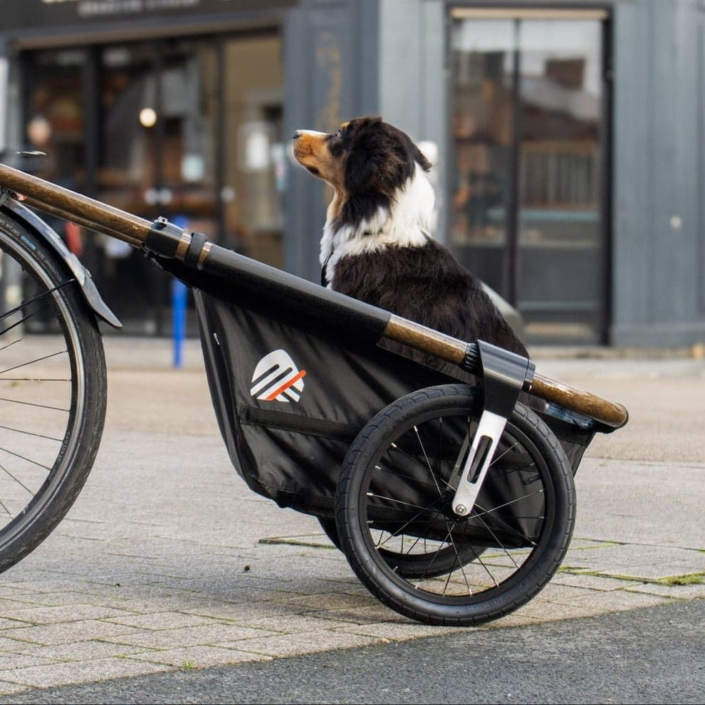 Remorque vélo (pour chien) 30 kg