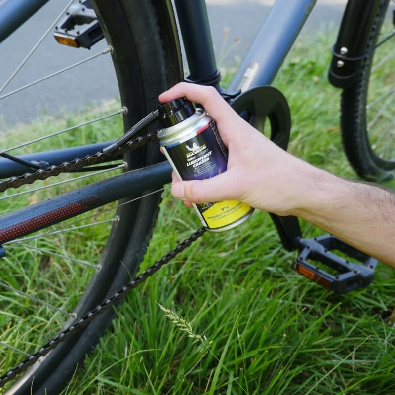 Lubrifiant chaîne avec pinceau applicateur