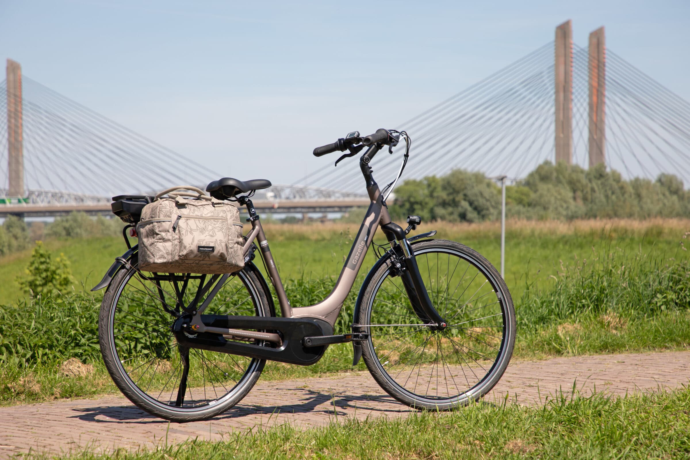 Sac vélo arrière New Looxs Bari Bamboo