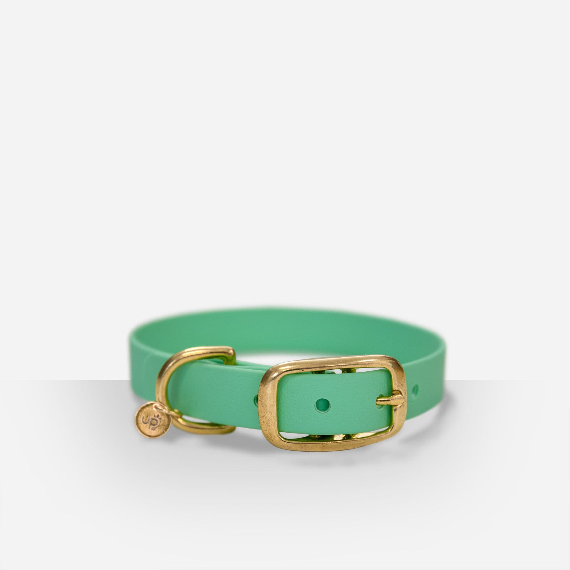 Collier pour Chien Ultra Premium Direct x Fidèle Paris - Édition limitée 