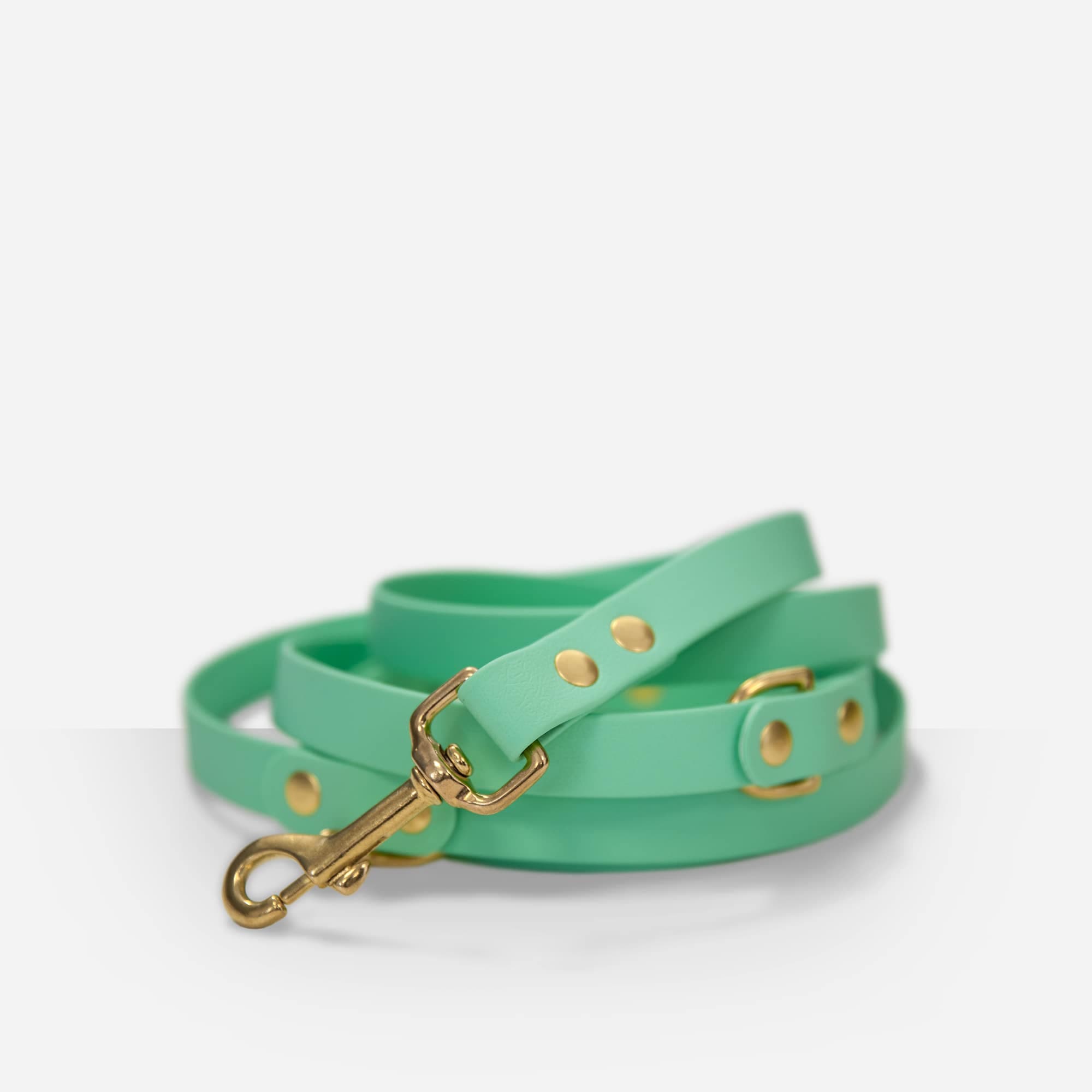 Laisse multi-positions Ultra Premium Direct x Fidèle Paris - Édition limitée 