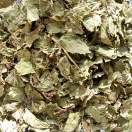 Tisane Menthe poivrée Bio (Mentha piperita) 25g