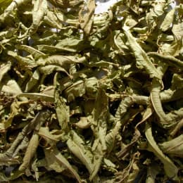 Tisane Verveine Bio (Lippia citriodora) 20g