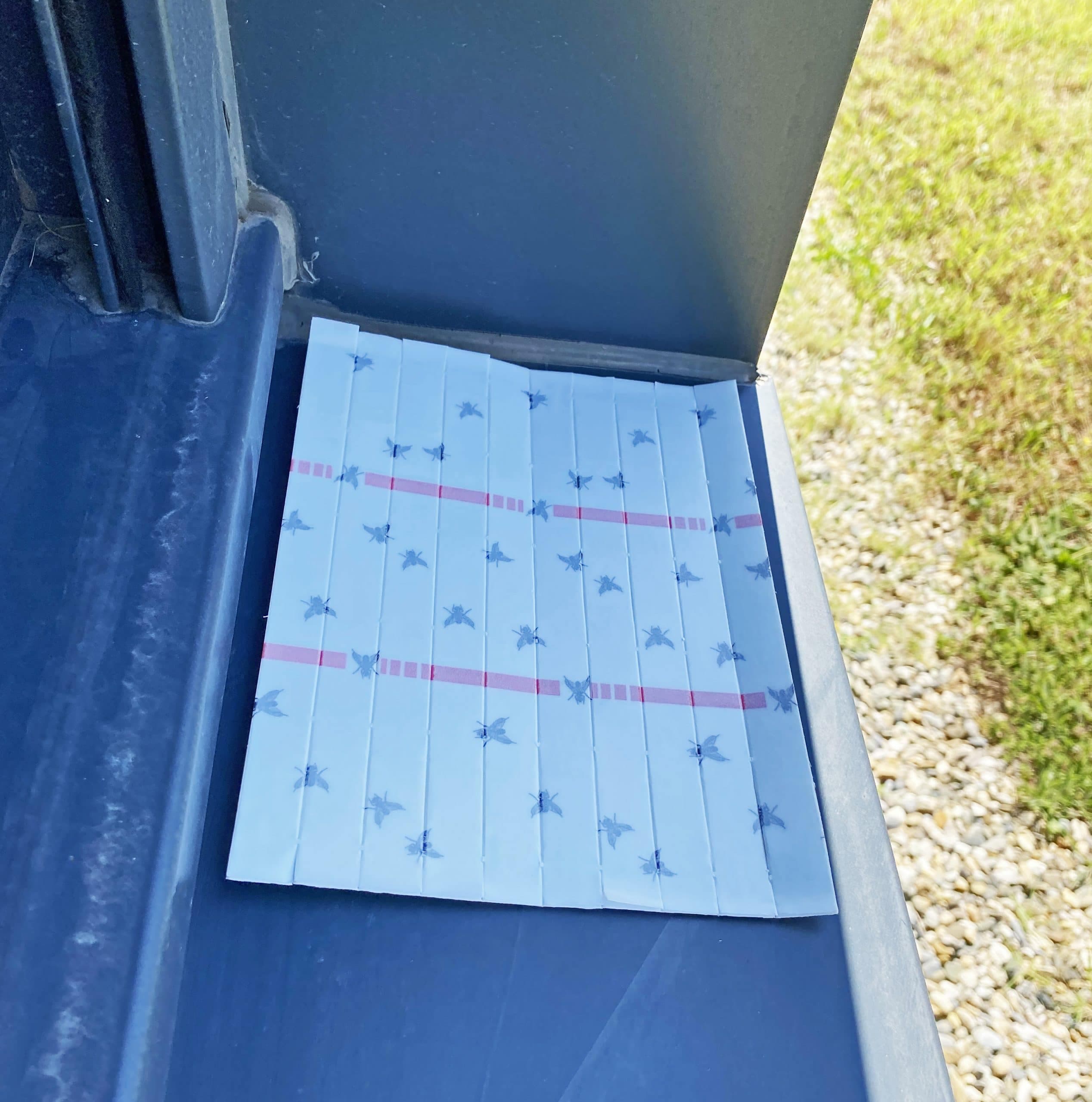 10 bandes attrape-mouches