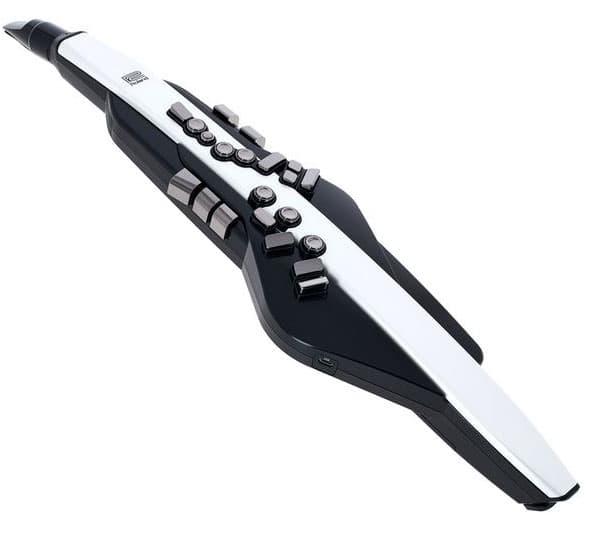 ROLAND AE-20 AEROPHONE