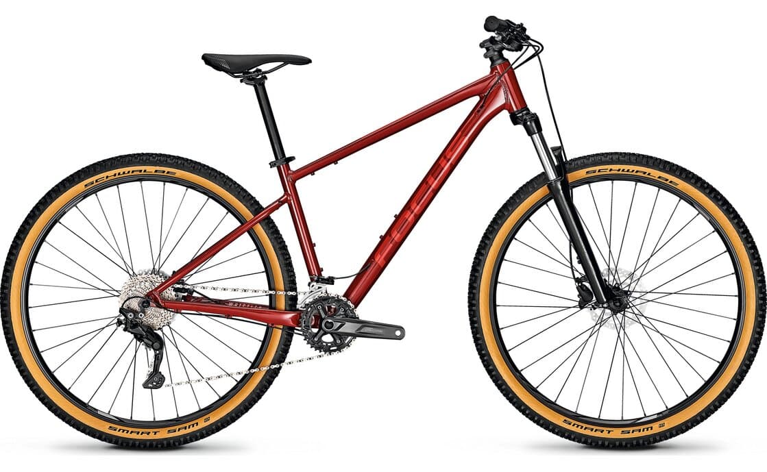 Focus Whistler 3.7 – 29 Zoll – Diamant – 2025 - S