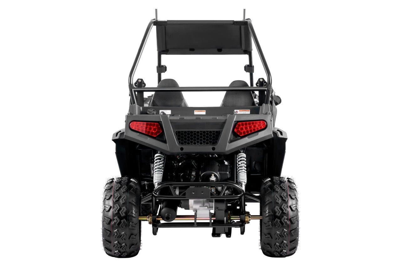 Tao YK200U EFI Adult UTV