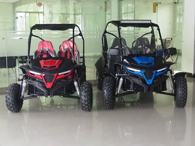 Trailmaster Cheetah 8 Off Road UTV / Go Kart (2)