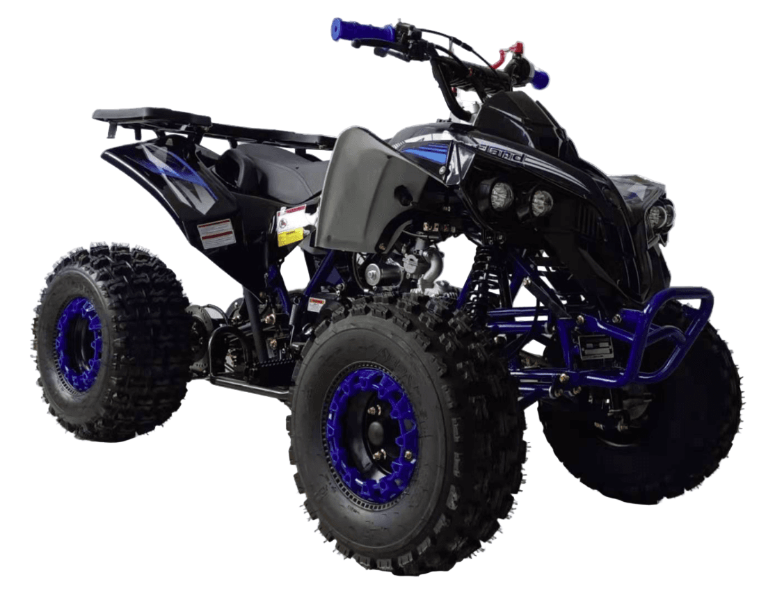 Vitacci Max 125 EFI