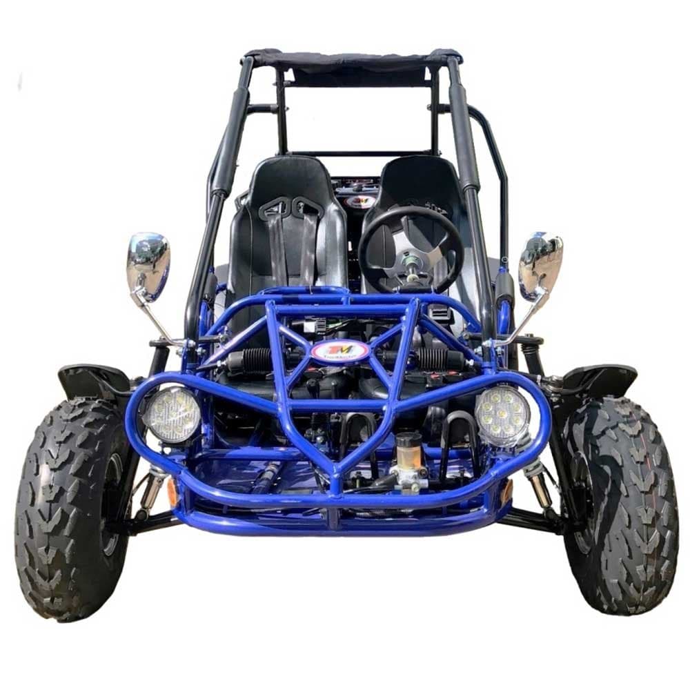 Trailmaster Eagle 200E XRS EFI Buggy / Go Kart Full Size youth Adult Off road Go Kart - Blue