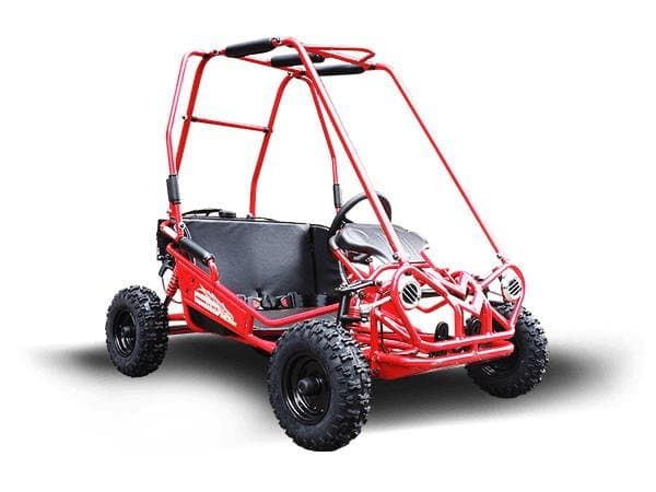 TRAILMASTER Eagle MINI XRS+ - KIDS SIZE GO KART