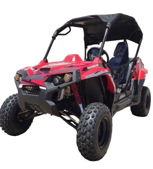 Trailmaster Challenger 300E EFI (2 Seater) UTV / side-by-side