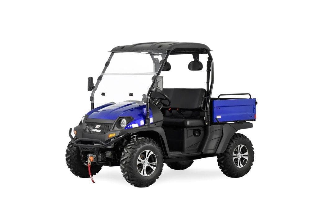 Trailmaster Taurus 450-U UTV High/Low Gear- 4 wheel Drive (2 Seater)