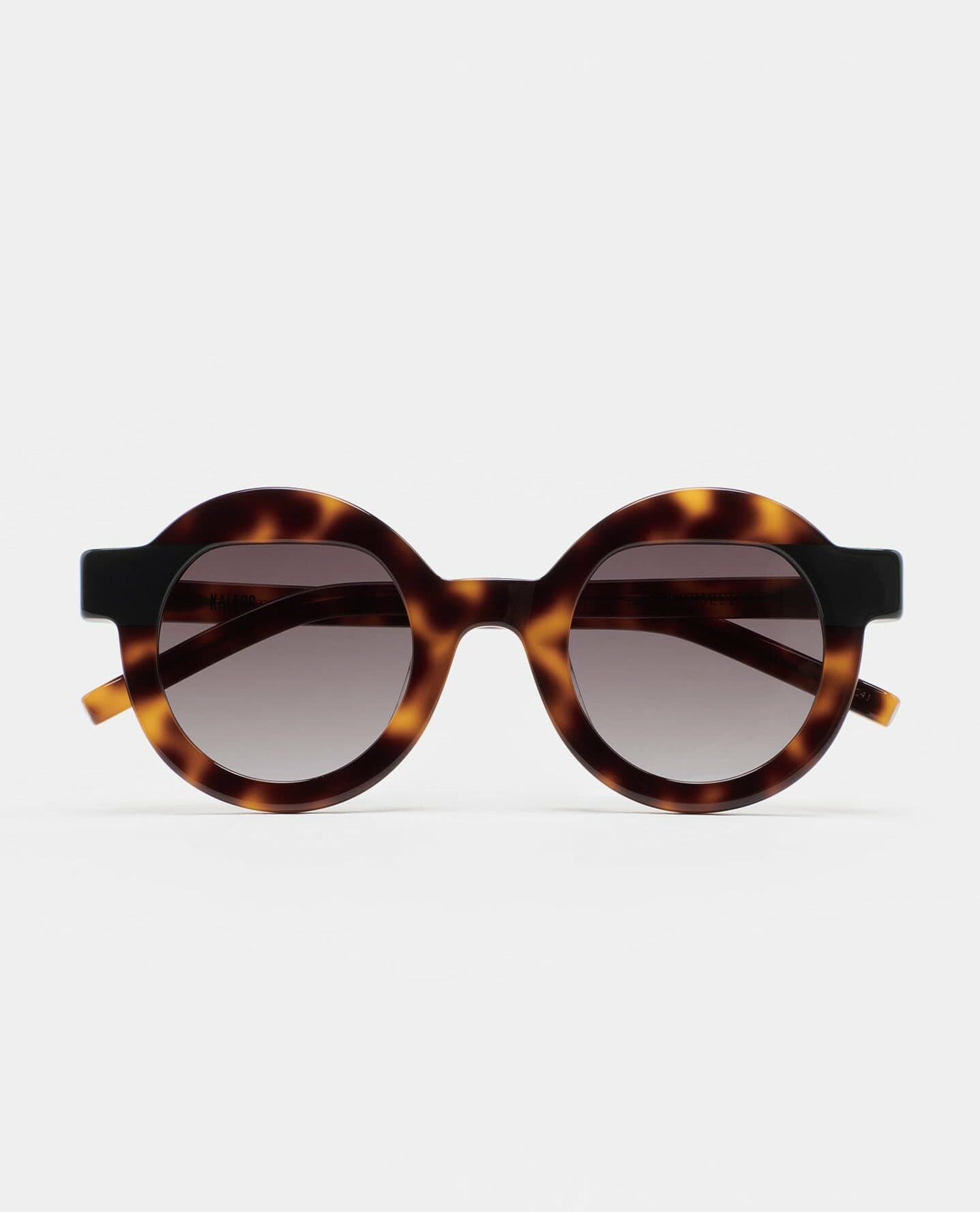 Lunette de Soleil Kaleos Pollitt II Havane