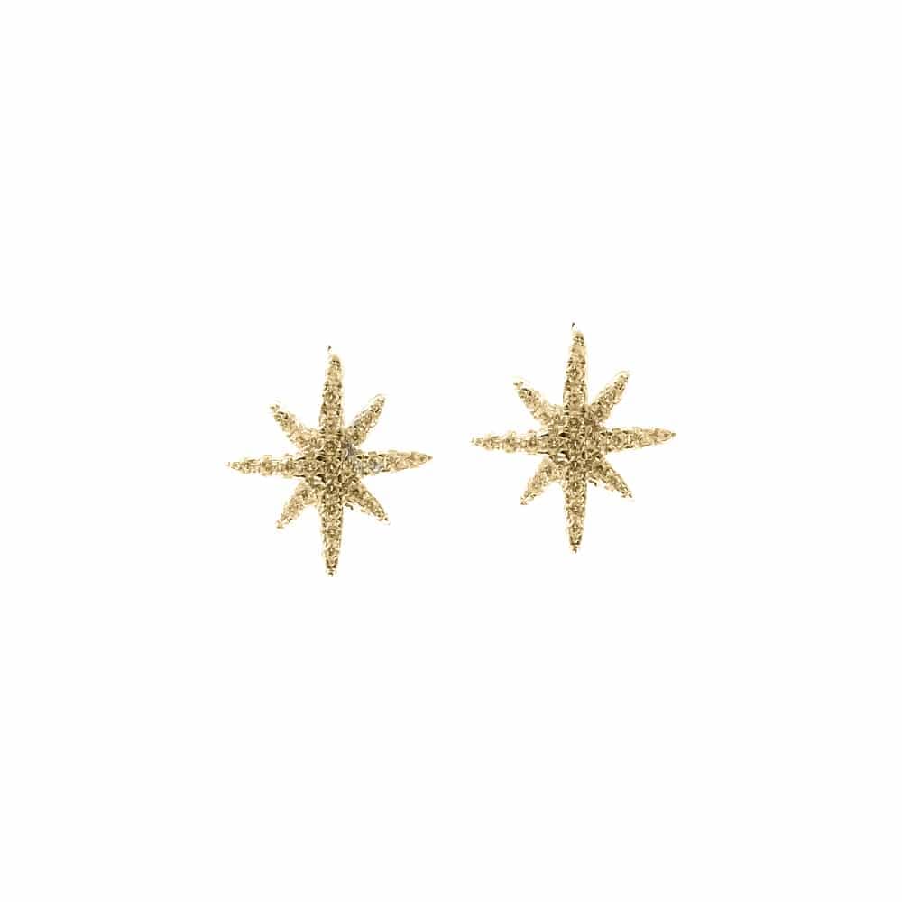 Boucles d'oreilles argent dore petite étoile  serti